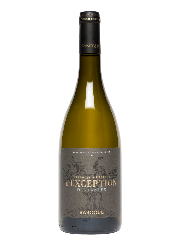 Baroque Terroirs & Cepages d'Exception, La Cave des Vignerons Landais