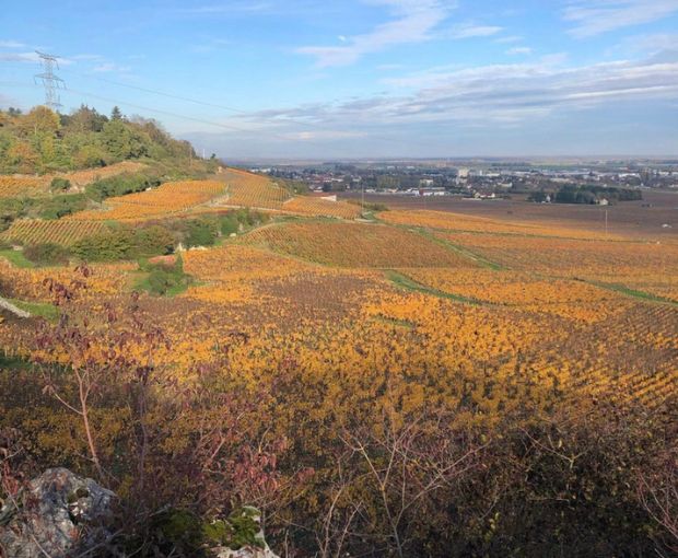Nuits-Saint-Georges AOC Les Terrasses des Vallerots 2018, Bertrand et Axelle Machard de Gramont
