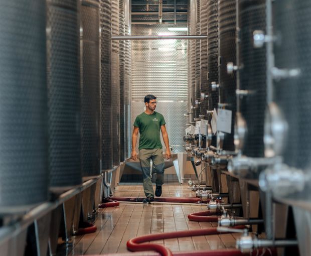 Pinot Grigio Blush delle Venezie DOC, Podere Dei Sogni