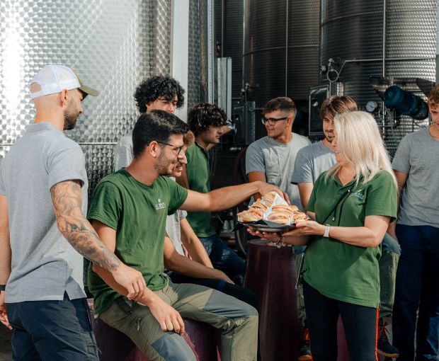 Pinot Grigio delle Venezie DOC, Podere Dei Sogni