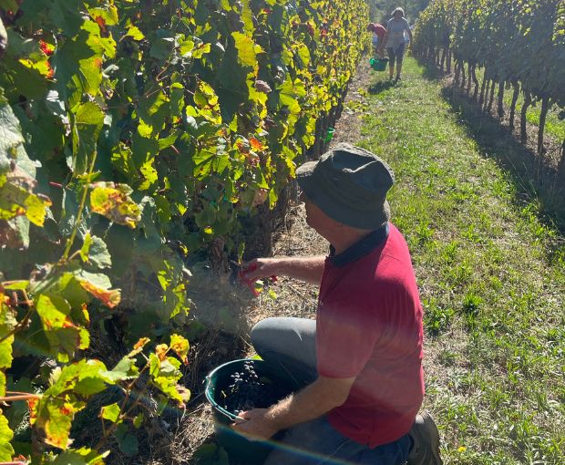 Malbec Cahors AOC, Clos du Colombier