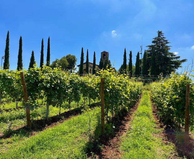 Franciacorta DOCG Brut Rosé, Castelveder