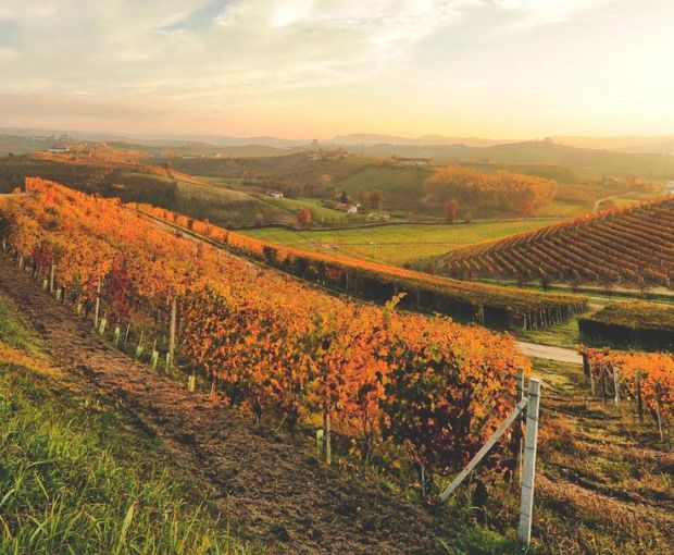 Champagne Françoise Monay Brut