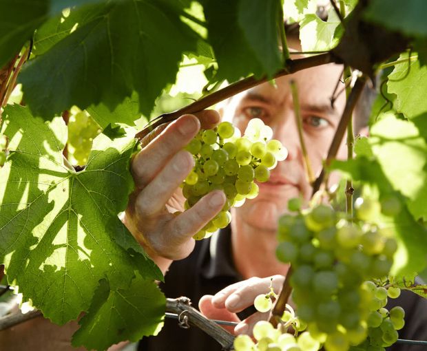 Chapel Down Vintage Reserve Brut 2021