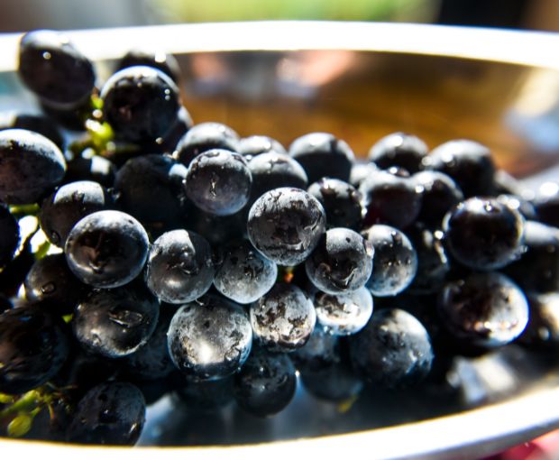 Lalande de Pomerol AOC 2019, Château Pavillon Beauregard