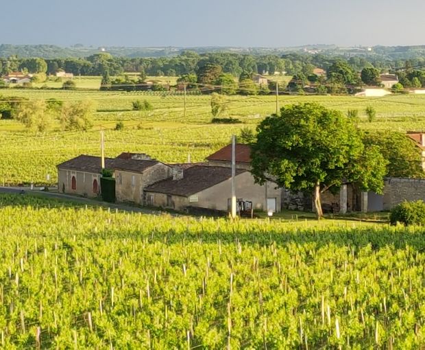 Castillon Côtes de Bordeaux AOC 2015, Château Bréhat