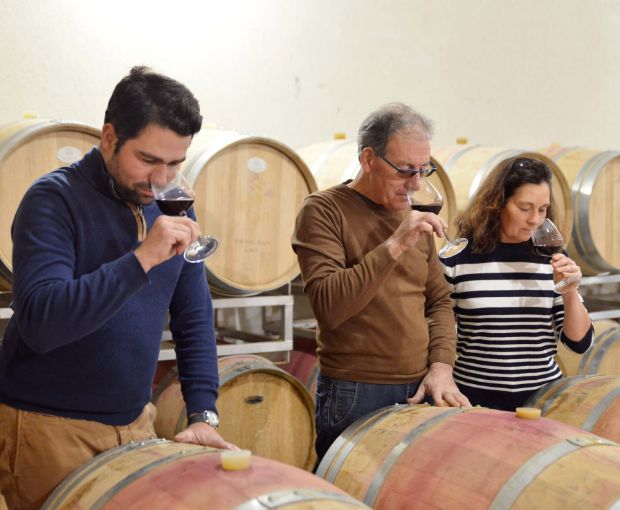 Bordeaux AOC, Château La Croix du Grand Jard