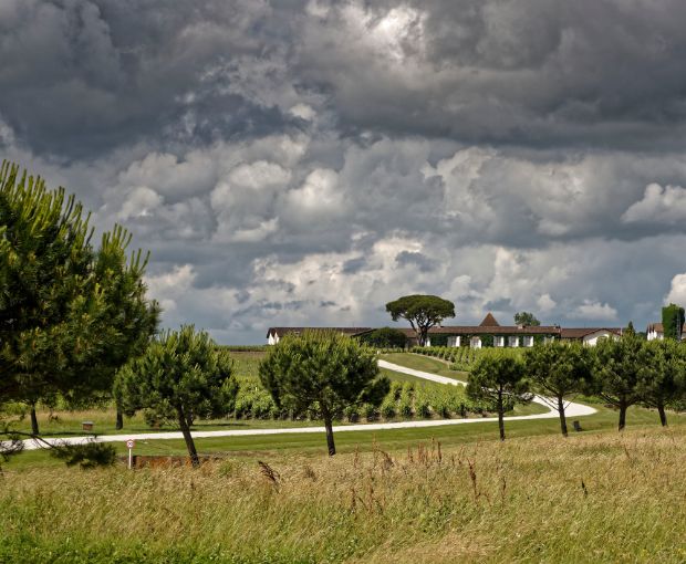 Saint-Estèphe AOC 2020, Les Hauts de Meyney