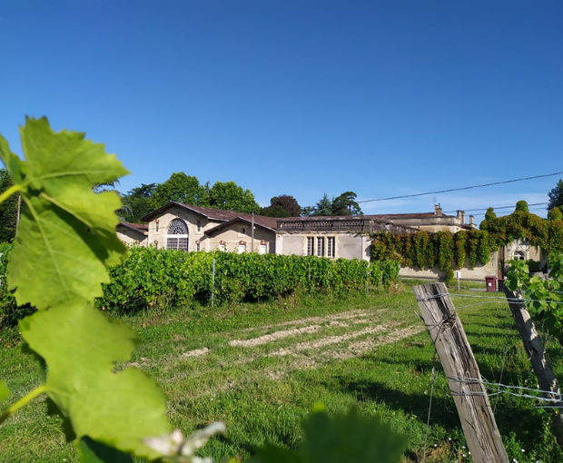 Graves AOC 2021, Château Puy Boyrein