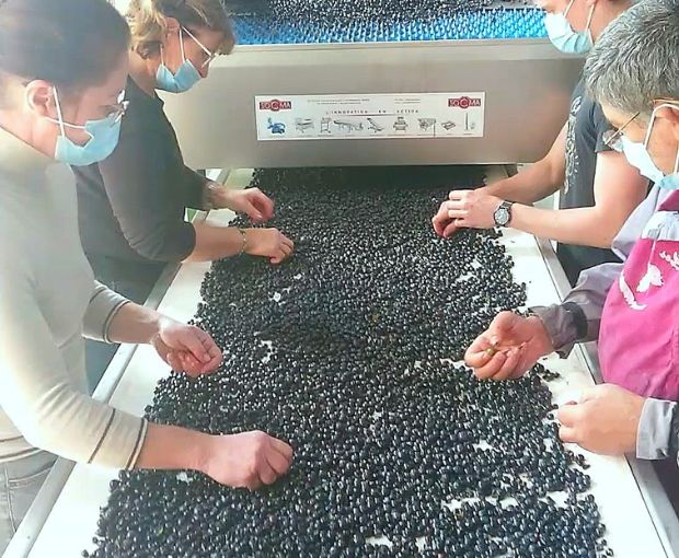 MAGNUM Haut Médoc AOC 2016 & 2019, Château du Retout