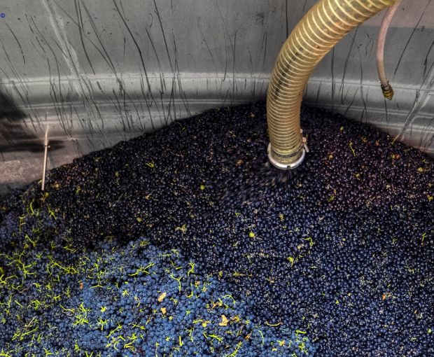 Cornas AOP Allegorie 2016, Domaine Christophe Pichon