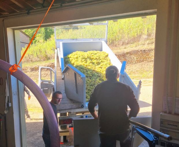 Pouilly-Fuissé AOP 1er Cru En Servy 2022, Denis Bouchacourt