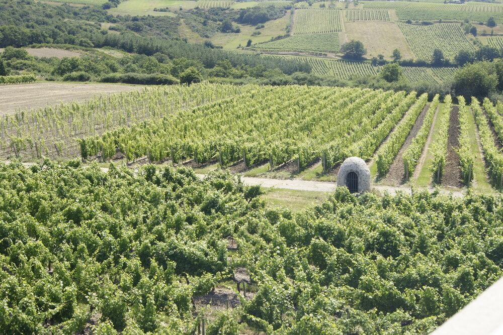 Côteaux du Layon AOP St Aubin 2024, Domaine des Barres