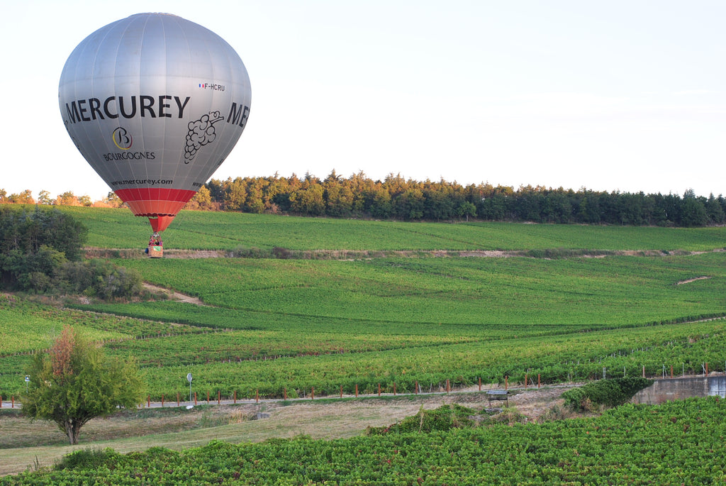 Mercurey 1er Cru Les Champs Martin AOP 2022, Domaine Laurent Dufouleur