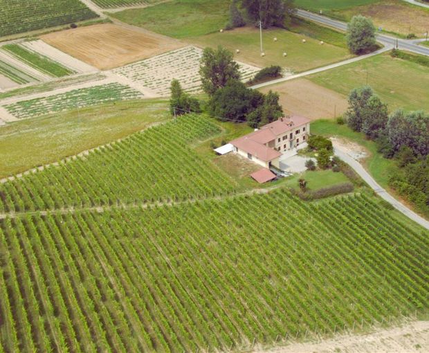 Limoncino, Dellavalle