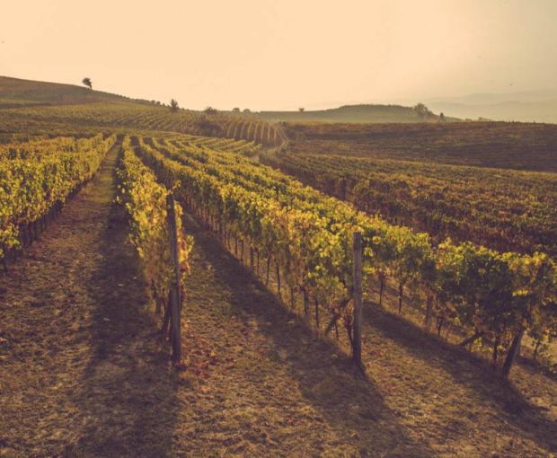 Grappa Moscato Gran Cuvee Villa Isa affinita in Barrique, Dellavalle