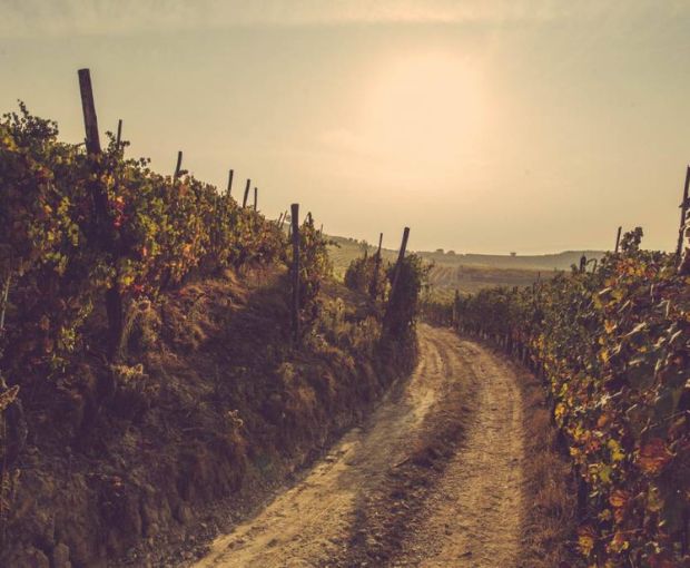 Grappa aged in Demerara Rum casks 2007, Dellavalle