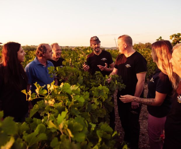 Passerina IGP Sodera, Tenute del Pojo