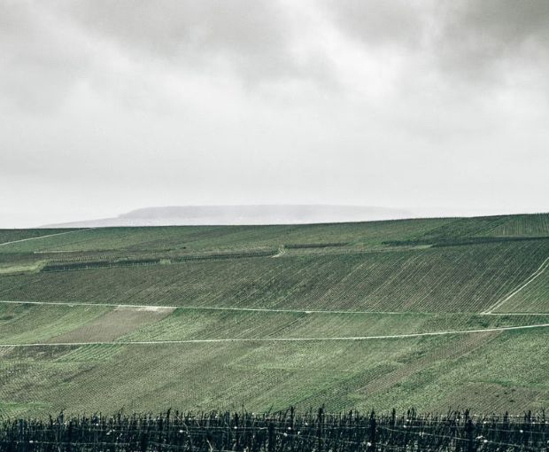 Champagne Dom Pérignon Brut 2015