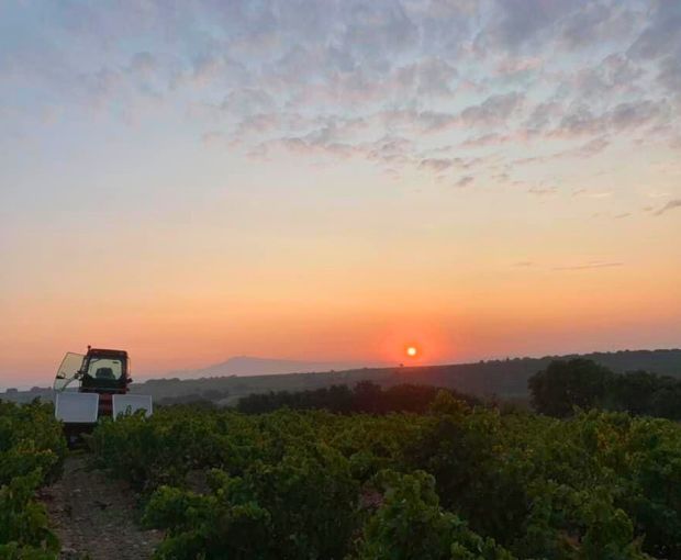 Châteauneuf-du-Pape AOC Blanc 2022, Domaine André Mathieu