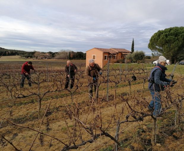 Grenache VdP du Comté de Grignan, Domaine Bois Vieux