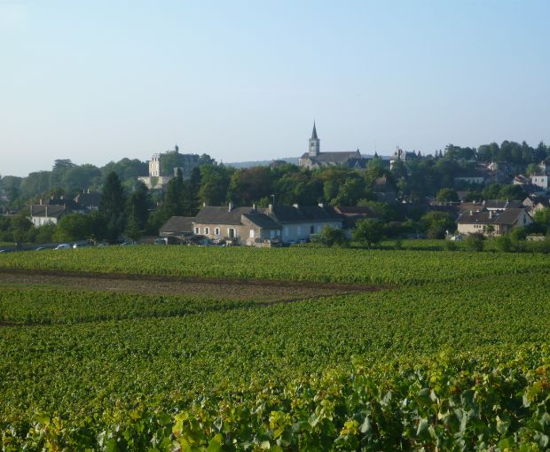 Rully 1er Cru AOC Marissou 2019, Domaine Saint Jacques