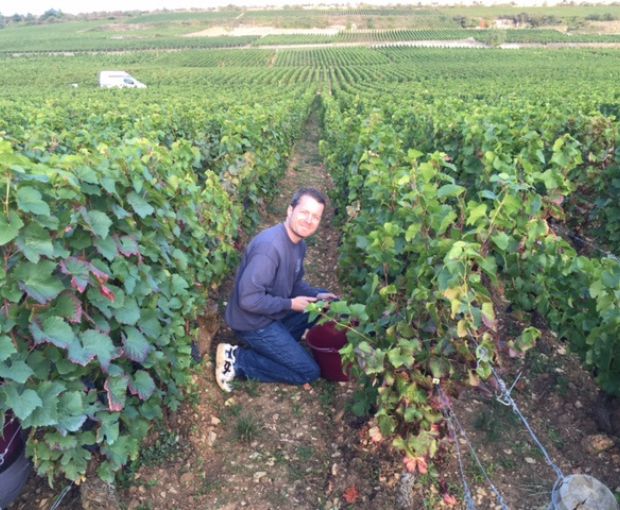 Mercurey AOC Les Loueres 2022, Domaine Laurent Dufouleur