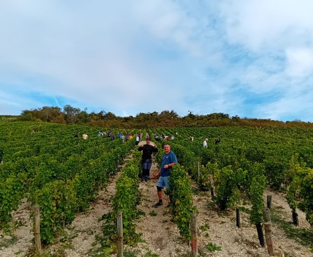 Sancerre AOP Cuvée Reserve Pascal Thomas 2022, Domaine de Sacy