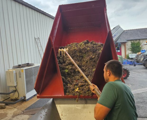 Anjou Gamay AOC, Domaine des Barres