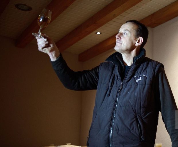 Anjou Gamay AOC, Domaine des Barres