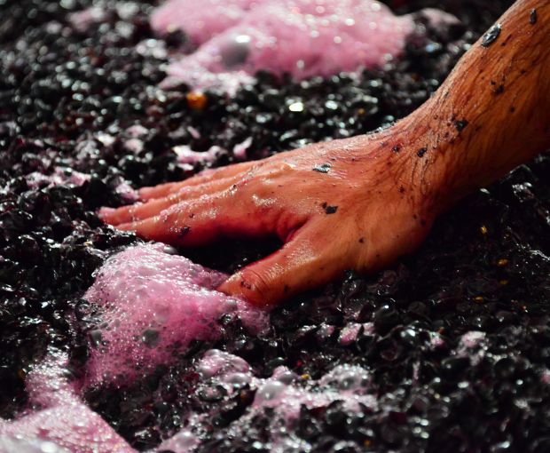 Crozes-Hermitage AOC 2019 Rouge, Domaine des Combat