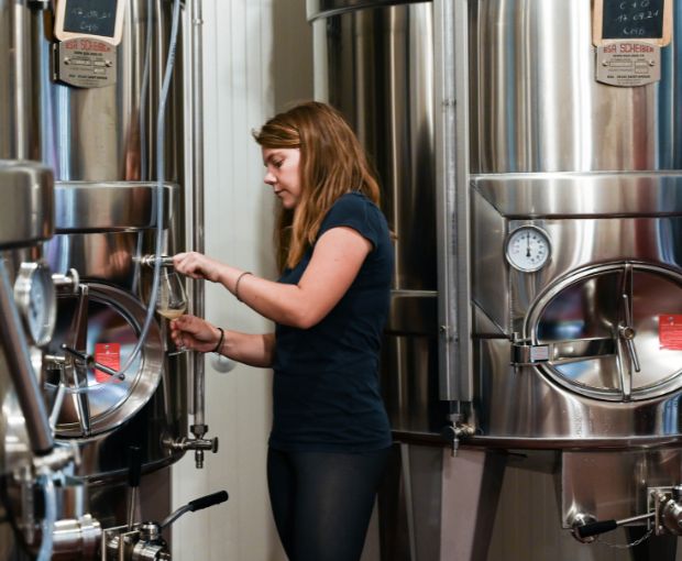 Crozes-Hermitage AOC 2022 Blanc, Domaine des Combat