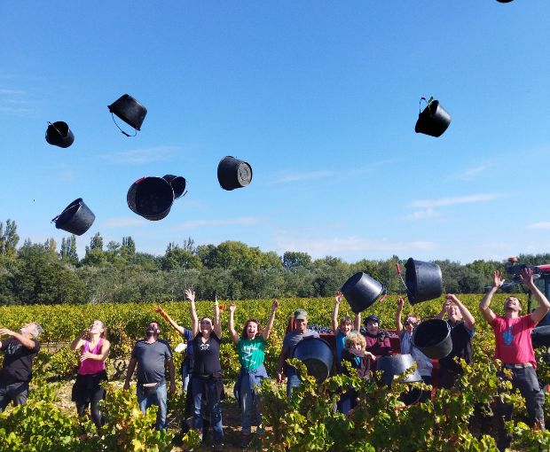 Côtes du Rhône AOP Lou Pitchoun, Domaine des Gravennes