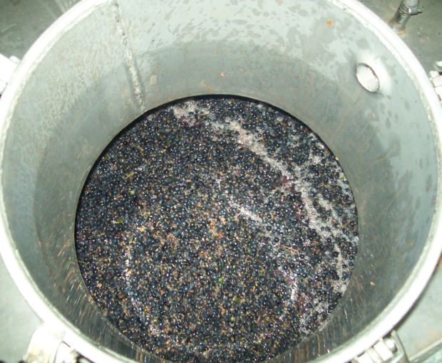 Saint Nicolas de Bourgueil AOC, Domaine du Fondis