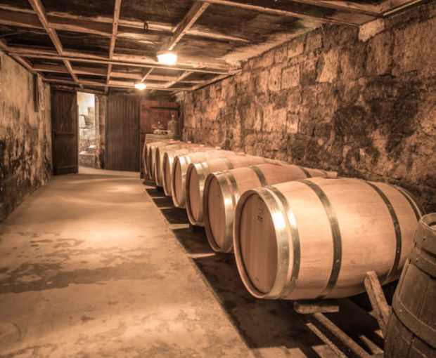 HALF Saint Nicolas de Bourgueil AOC, Domaine du Fondis