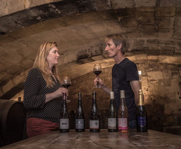 Saint Nicolas de Bourgueil AOC, Domaine du Fondis