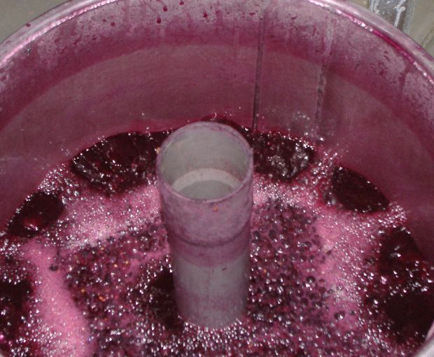 Saumur Champigny AOC Vieilles Vignes Cuvee de Bruyn, Domaine du Fondis