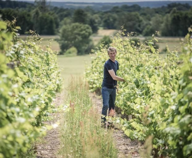 Saumur Blanc AOC, Domaine du Fondis