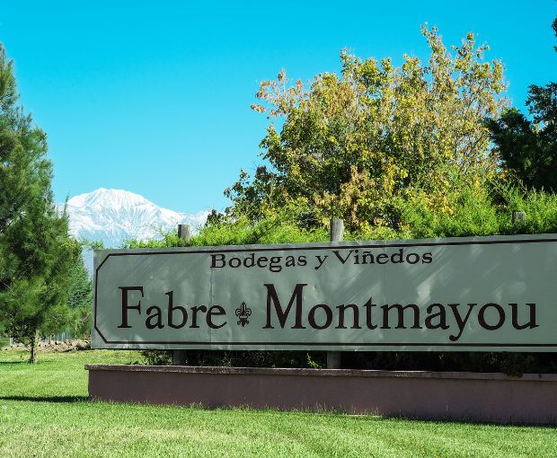 Grand Vin 2013, Fabre Montmayou