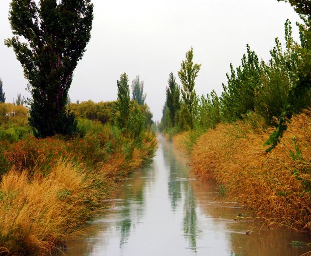 Syrah Barrel Selection Patagonia 2019, Fabre Montmayou