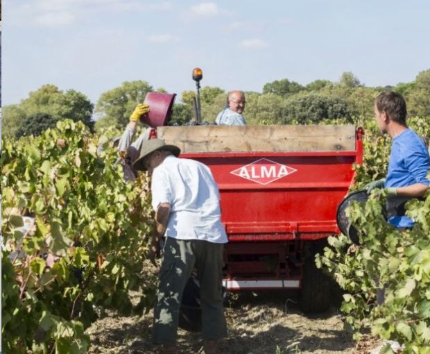 Syrah VdP du Comté de Grignan, Domaine Gigondan M. & Fils