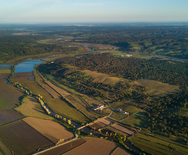 Gerónimo White 2020, Herdade do Portocarro