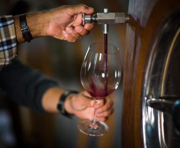 Cavalo Maluco Tinto 2013, Herdade do Portocarro