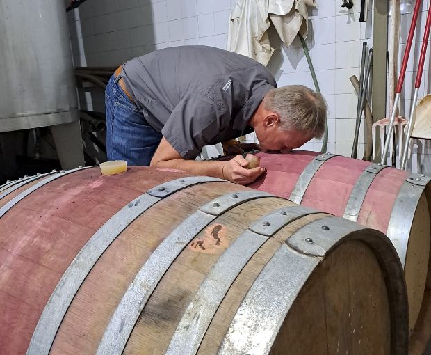 Pinotage, Truter Family Wines