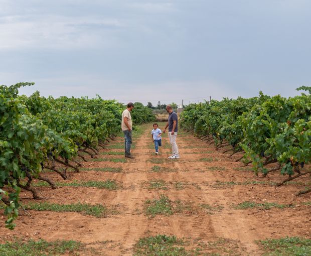 Bacca Bianca IGT Puglia, Cantine Ionis
