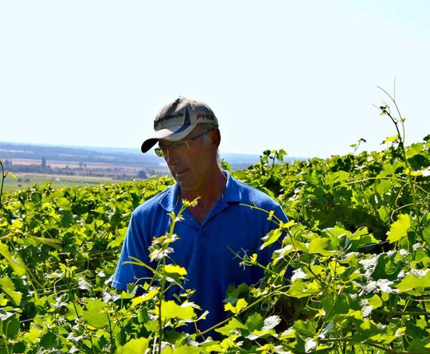Nuit Saint Georges AOC Les Argillats Pinot Blanc 2010, Domaine Guyon