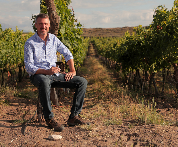 Chardonnay Reservado, Fabre Montmayou