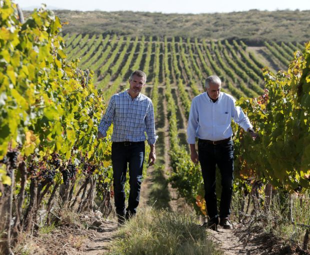 Cabernet Sauvignon Reserva, Alta-Yari