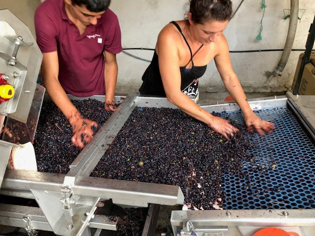 Bourgogne Cote d'Or AOP Pinot Noir 2022, Domaine Laboureau