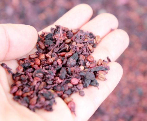 El Pinar de Villena Rosé, Las Virtudes